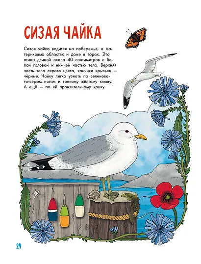 Птицы - фото 10