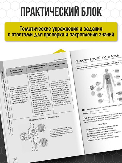 Биология - фото 6