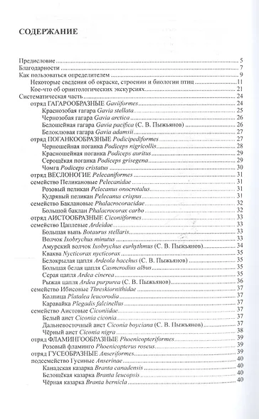 Птицы Сибири (комплект из 2 книг) - фото 2