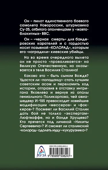 Позывной: «Колорад». Наш человек Василий Сталин - фото 2