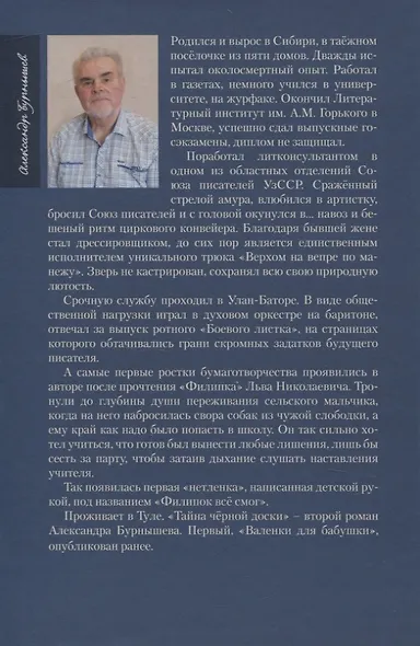 Тайна черной доски. Остросюжетная история одной находки. - фото 2
