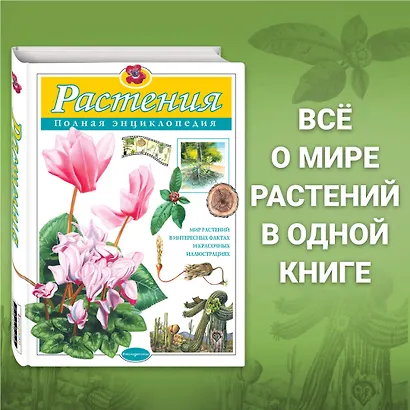 Растения. Полная энциклопедия: Мир растений в интересных фактах и красочных иллюстрациях - фото 4