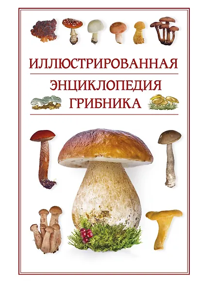 Иллюстрированная энциклопедия грибника. - фото 1