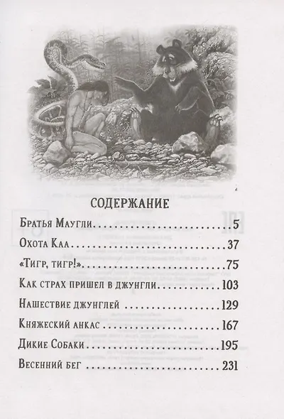 Маугли - фото 2