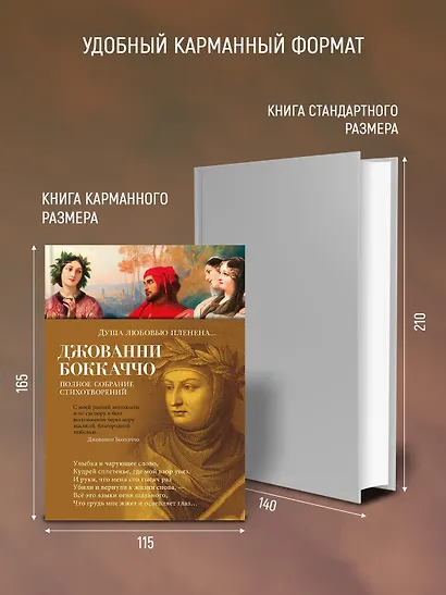 Душа любовью пленена... Полное собрание стихотворений - фото 6