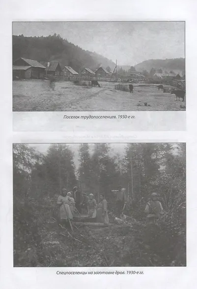 ВЧК-ОГПУ-НКВД на защите экономической безопасности государства. 1917-1941 годы - фото 6