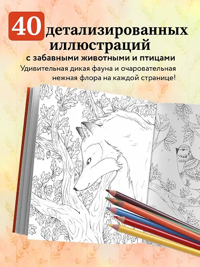 В объятиях природы. Раскрашиваем обаятельные иллюстрации животных и птиц - фото 5