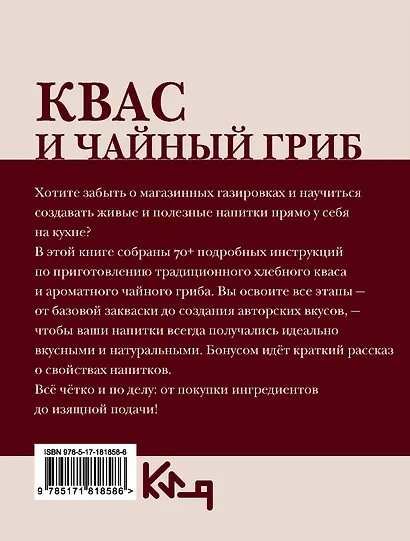 Квас и чайный гриб. Рецепты - фото 2