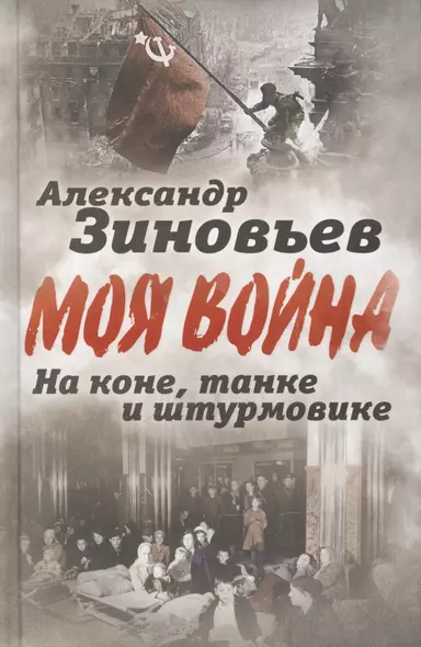 На коне, танке и штурмовике. Записки воина-философа - фото 1