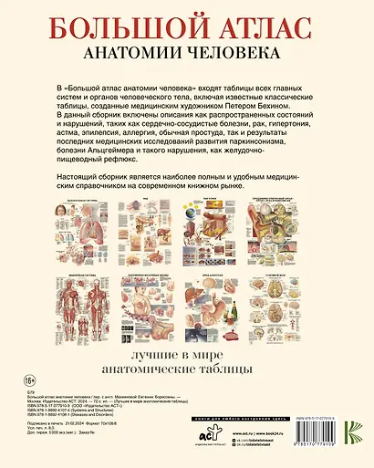 Большой атлас анатомии человека(в табл) - фото 2