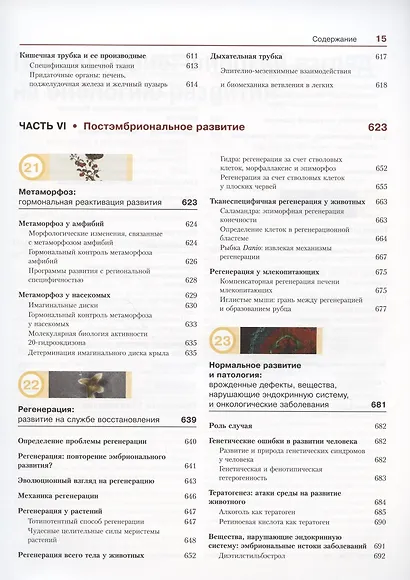 Биология развития - фото 10