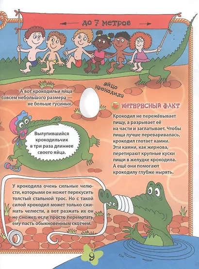 Дикие животные - фото 5