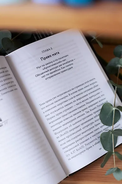 Запретные слова. Заметки лингвистов о русском мате - фото 12