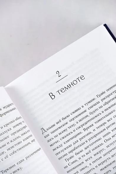 Замок на третьей горе. Книга 2. Убийцы и те, кого так называют - фото 7