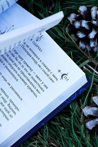 Волк одичал - фото 12