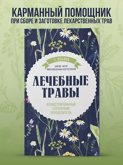 Лечебные травы. Иллюстрированный справочник-определитель - фото 4