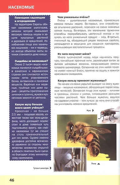 Большая энциклопедия обо всём на свете - фото 4