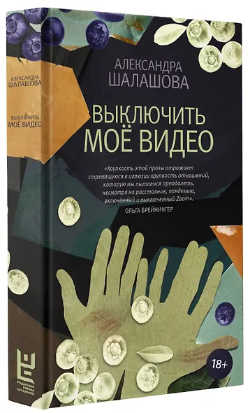 Выключить моё видео - фото 3