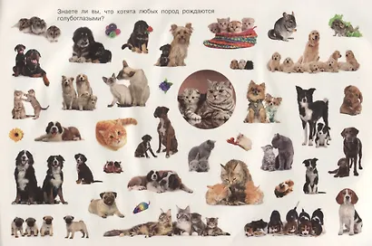 Мамы и малыши - фото 3