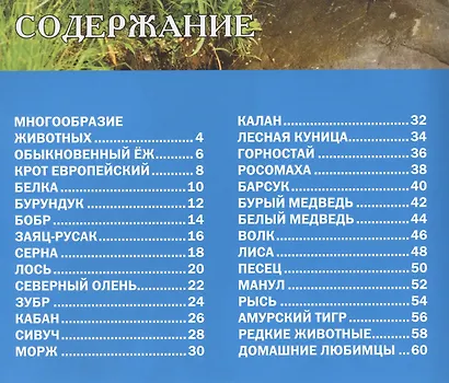 Звери и птицы России.Энциклопедия для детей - фото 2