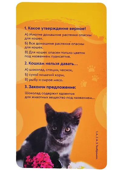 Кошки. Викторина на карточках - фото 4