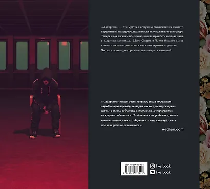 Лабиринт - фото 2