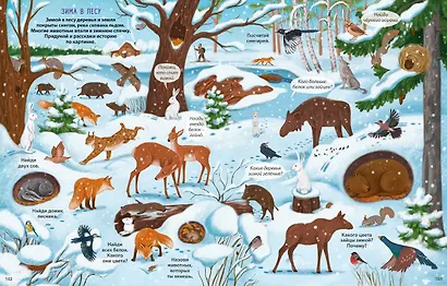 Виммельбух с наклейками. В лесу - фото 2