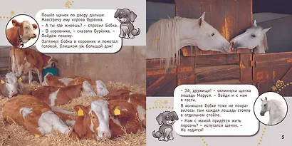 Кто где живет? - фото 3