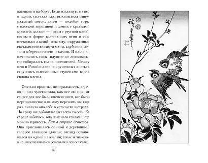 Только роза - фото 5