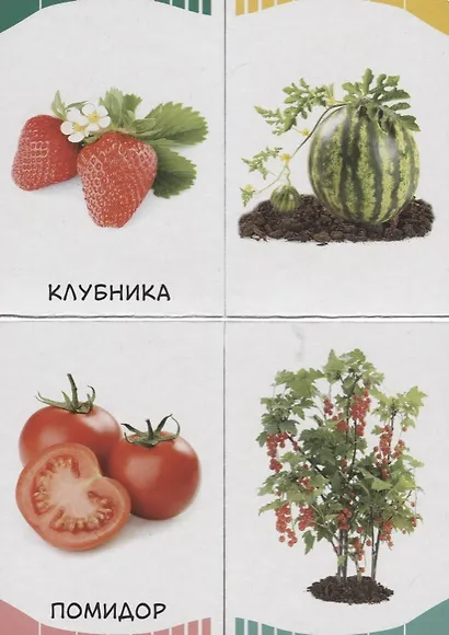 Фрукты, овощи, ягоды - фото 3