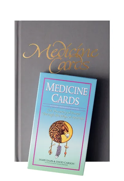 MEDICINE CARDS SET (52 карт+инструкция) - фото 2