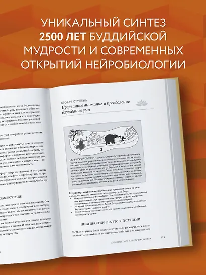 Свет ума. Подробный путеводитель по медитации - фото 5