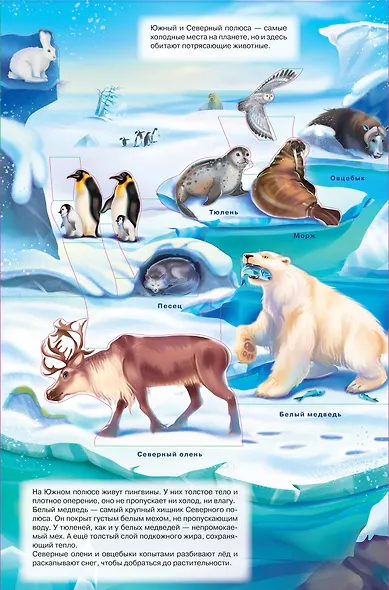 Животные - фото 5