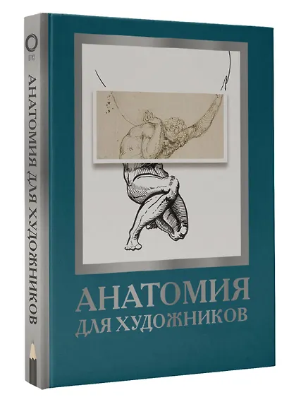 Анатомия для художников - фото 3