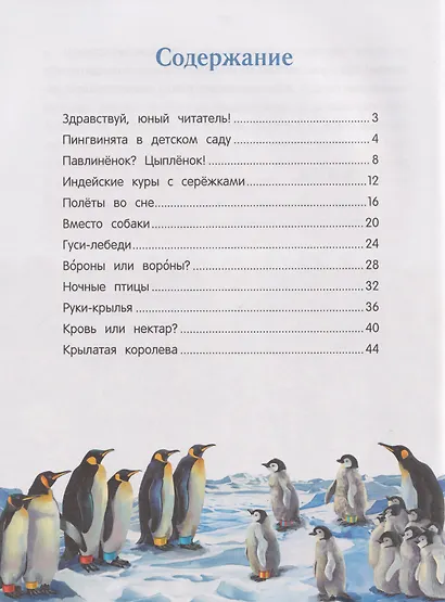 Павлиненок? Цыпленок! Крылатые семьи: факты и игры - фото 5