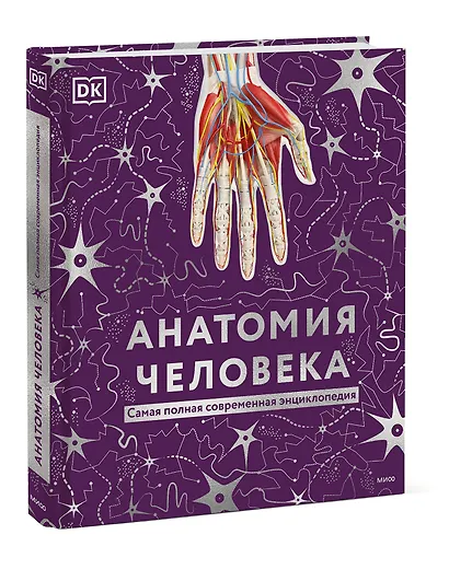 Анатомия человека. Энциклопедия DK - фото 3