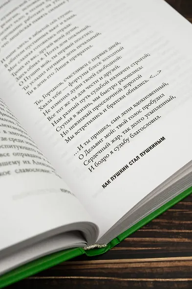 Короче, Пушкин - фото 11