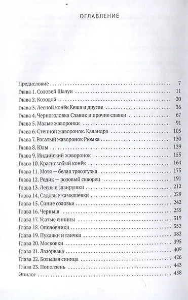 Жизнь среди птиц и в радости, и в горе. Провинция - фото 3