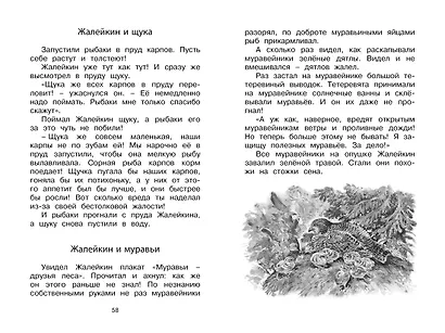 Лесные тайнички - фото 9