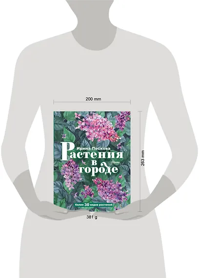 Растения в городе - фото 9