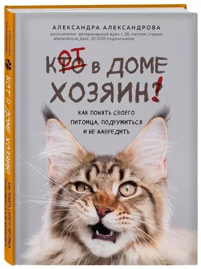 Кот в доме хозяин! Как понять своего питомца, подружиться и не навредить - фото 1