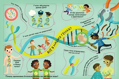 Волшебные окошки. Откуда берутся дети? - фото 12