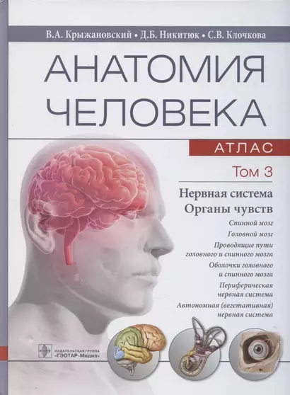 Анатомия человека. Атлас: учебное пособие. В 3-х томах. Том 3. Нервная система. Органы чувств - фото 1