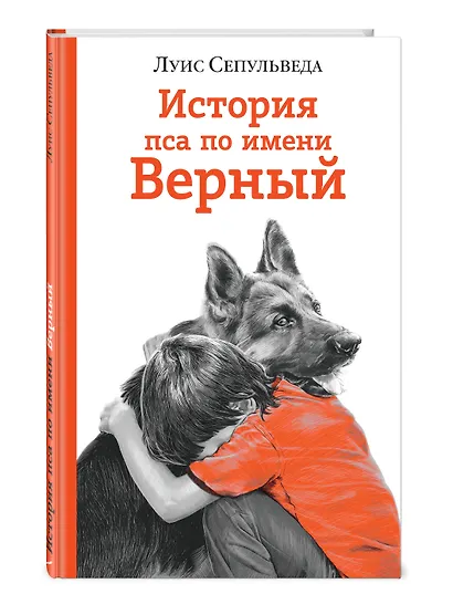 История пса по имени Верный - фото 3