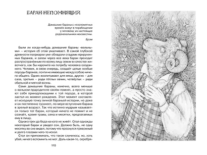 Премудрый пескарь и другие сказки - фото 10