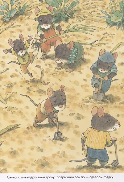 14 лесных мышей. Тыква. - фото 3