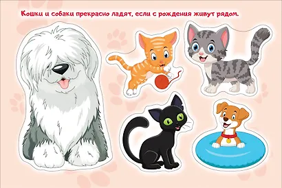 Домашние питомцы. Альбом многоразовых наклеек для самых маленьких - фото 2
