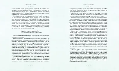 Серебряные коньки - фото 4