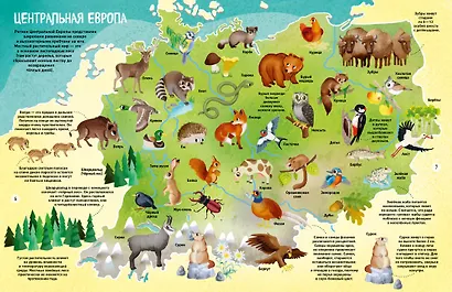 Мир животных в картинках - фото 8