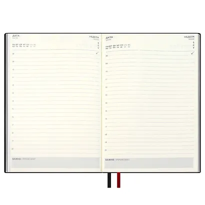 Ежедневник недат. А5+ 160л 175*245 "Шеврет" красный, кожзам, мягк.переплет, блинтовое тиснение, офсет, ляссе - фото 6